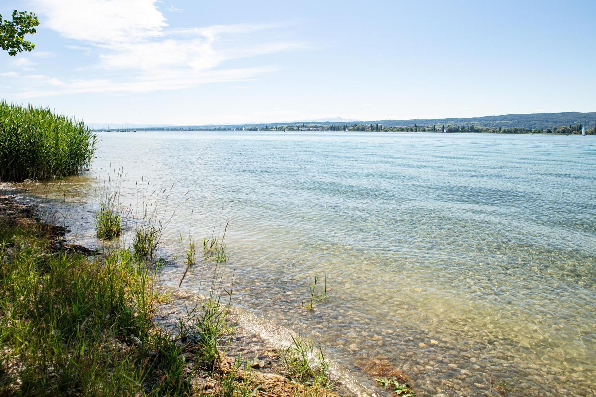 Lakeside Apartment - Seeufer Apartment Allensbach Exteriér fotografie